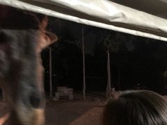 -清迈夜间动物园