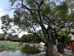 -建水文庙