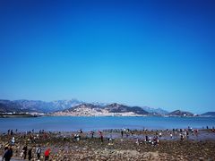 -青岛沙子口国家中心渔港