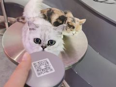 -极木²邸 人与宠物·互动社区