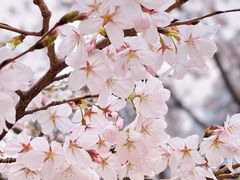 -西北湖绿化广场