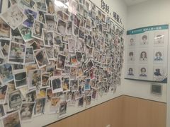 -瑞派·关忠动物医院·猫专科·犬专科(三环新城店)