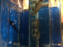 -小湘旺臭鳜鱼(百子湾店)