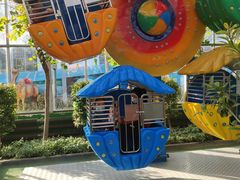 -南宫五洲植物乐园