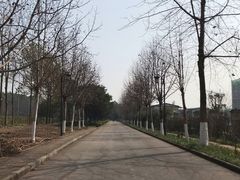 -大渡口区义渡公园