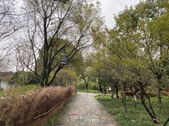 -西溪国家湿地公园
