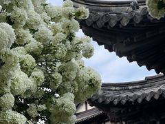 -常熟方塔园