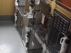-宠颐生维康宠物医院(金丰店)