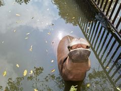 -海南热带野生动植物园