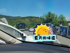 -棒棰岛宾馆景区