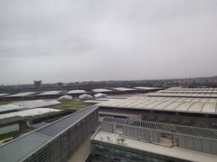 -上海浦东嘉里大酒店
