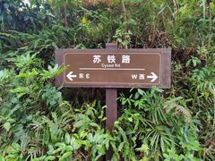 -深圳仙湖植物园