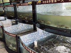 -阳澄湖半岛旅游度假区
