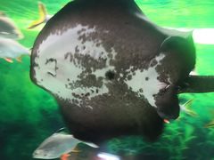 -常州海昌海洋探索馆