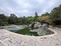 -香山公园
