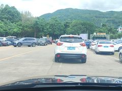 -东莞市大岭山森林公园