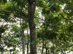 -中国移动南方基地