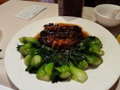 素海参扒菜心-功德林(南京西路店)