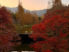 -田野绿世界