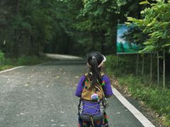 -素山寺森林公园