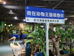 -海合安武汉极地海洋公园