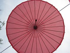 -金鸡湖桃花岛