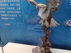 -天津自然博物馆