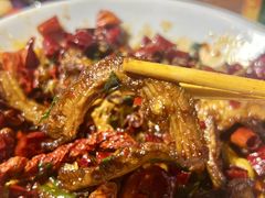 -柴窝堡22号辣子鸡·传承新疆菜