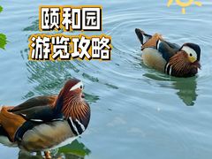 -颐和园