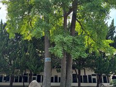 -苏州碑刻博物馆