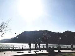 -昆明动物园