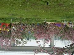 android_upload_pic-秀丽东方