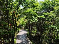 -大围山国家森林公园
