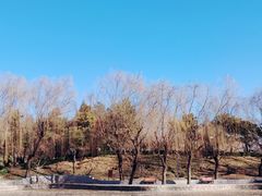 -团结湖公园