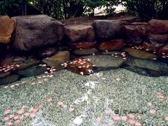 -厦门日月谷温泉渡假村