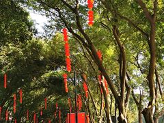 -广州市白云山风景名胜区
