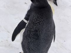 -广州热雪奇迹