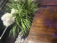 -绿茶餐厅(昆明世纪金源店)