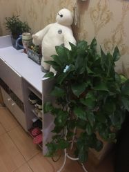 -本真坊美容美体沙龙