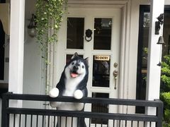 -TrueLove @ Neverland (Husky Cafe)