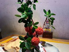 -长安大牌档之上元灯会(南大街店)