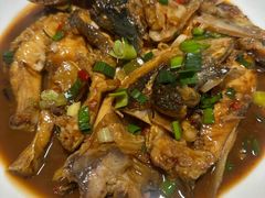 -全乐鱼馆·淳牌有机鱼直营店