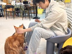 -平行世界·猫咖(首经贸店)