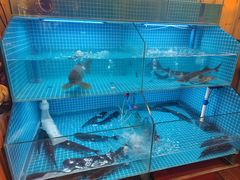 -田家大院东北农家菜铁锅炖(西安总店)