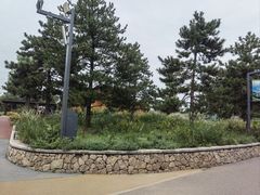 -东郊湿地公园