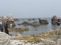 -养马岛旅游度假区