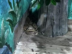 -石家庄市动物园