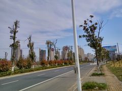 -碧桂园凤凰城酒店(南京店)