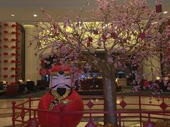 -常州武进九洲喜来登酒店