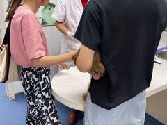 -宠颐生动物医院·小陆分院